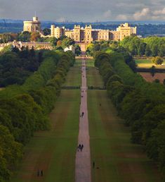 an aerial view of the palace and gardens