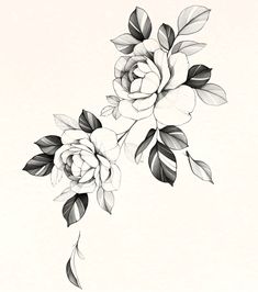 black and white drawing of flowers with leaves