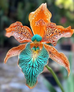 an orange and blue flower with green tips