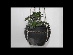 a potted plant hanging from a chain on a wall