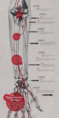 an image of a diagram showing the anatomy of a human leg and its major functions