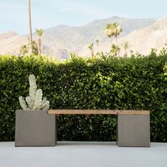 two cement planters sitting next to each other on top of a concrete bench in front of a hedge