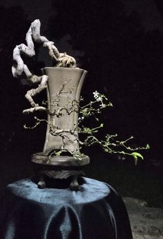 a vase sitting on top of a table covered in vines and branches with leaves coming out of it