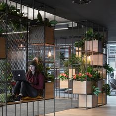 a woman is sitting on the floor with her laptop in front of she is surrounded by potted plants