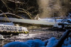 a stream running through a forest covered in snow