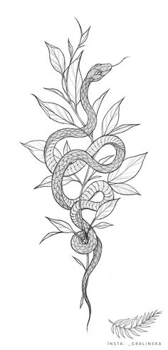 a black and white drawing of a snake on a branch