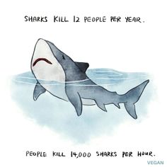 a drawing of a shark swimming in the water with words on it that say sharks kill people per year