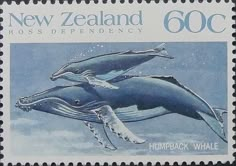 a stamp with two humpback whales on it