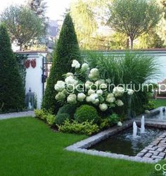 a garden with white flowers and water features