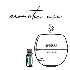 Default Alt Tag for this page Doterra Logo, Essential Oil Usage, Ways To Use Essential Oils, Essential Oil Diffuser Blends Recipes, Essential Oil Storage, Life Map, Natural Sunscreen