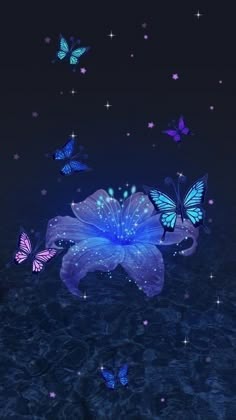 blue flowers and butterflies floating in the water at night with stars on the sky above