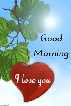 a red heart hanging from a tree branch with the words good morning i love you