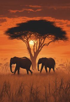 Safari in The Sahara with Elephants Digital Illustration Art Print Warm And Cool Color Art Projects, African Abstract Art, Sud Africa, Digital Illustration Art, Colorful Art Projects, Animal Photography Wildlife, Elephant Photography, Safari Art, Photography Wildlife