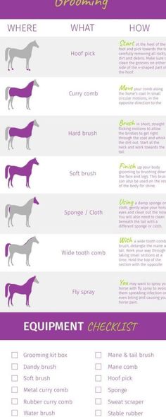 the horse info sheet shows different types of horses and how they are used to describe them