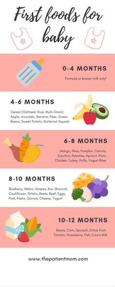 the top ten foods for baby to eat in one month or two months info sheet