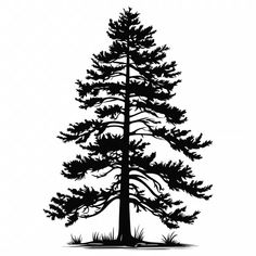 a black and white silhouette of a pine tree