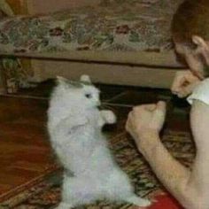 a man is playing with a small white mouse on the floor next to a couch