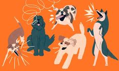 an image of dogs that are barking and having trouble with each other on orange background