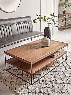 a living room with a couch, coffee table and potted plant