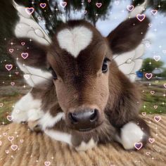 a baby cow with angel wings on it's head and hearts in the background