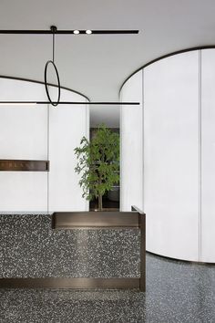 a plant is sitting on top of a counter in a room with white walls and black flooring