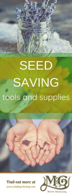 seed saving tools and supplies with text overlay