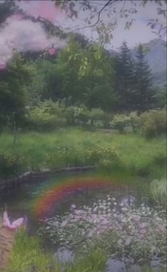 there is a rainbow in the water and some flowers on the grass by it's edge