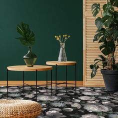 two tables with plants on them in front of a green wall and black flooring