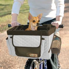 a small dog sitting in the back of a pink and black bike bag on top of a person's bicycle