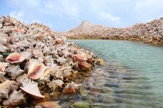 the water is crystal blue and clear with some rocks on it's side,