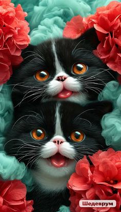 two black and white cats with orange eyes surrounded by red carnations in the background