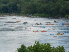 many people are rafting on the river with trees in the backgrouds