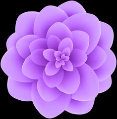 a purple flower on a white background with clipping area for text or image illustration