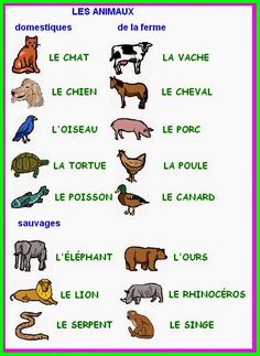 an animal chart with different types of animals and their names in french, english or spanish