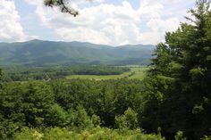 the mountains are in the distance as seen from a wooded area with lots of trees