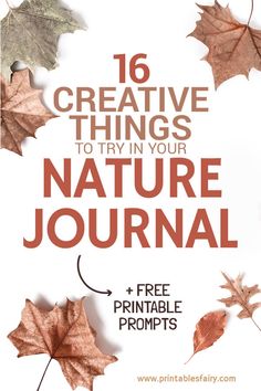 an image of autumn leaves with the text 16 creative things to try in your nature journal