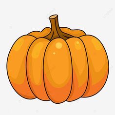 an orange pumpkin on a white background png and psd files for free to use