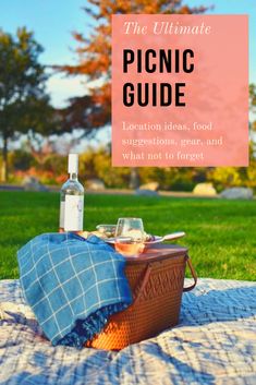 the ultimate picnic guide for families