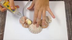 a child is painting seashells on paper with glue and an adhesiver