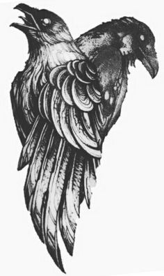 a black and white drawing of a bird