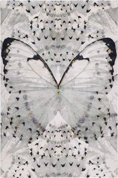 a butterfly with black spots on it's wings is seen in this artistic photo