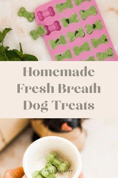 homemade fresh breath dog treats in a cup