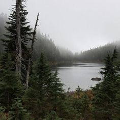 a lake surrounded by trees in the middle of a forest on a foggy day