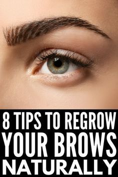 Brow Tips, Hair Growth Remedies, Diy Hair Growth, Eyeshadow Basics, Fast 8