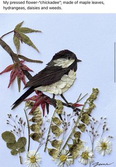 a bird sitting on top of a plant next to leaves and flowers in front of a white background