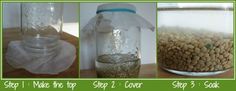 three pictures showing how to make a mason jar filled with water and dog food in it