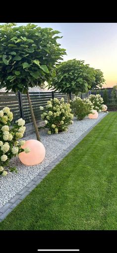 an image of a garden setting with grass and flowers in the middle, trees on either side