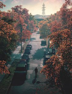 a man walking down a street next to trees with orange leaves in the fall colors