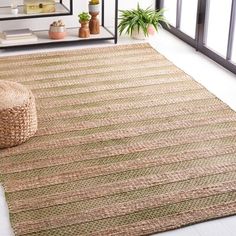 a large rug is on the floor next to a potted plant