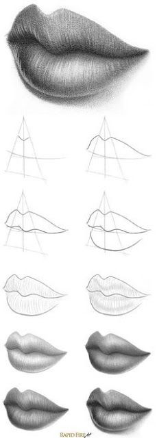 various lips with different shapes and lines on the bottom one is drawn to show how they are